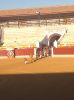 Filename=1.jpeg
Filesize=283KB
Dimensions=800x1067
Date added=Aug 27, 2012 1.jpeg