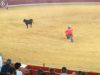 Filename=image_(2).jpeg
Filesize=158KB
Dimensions=800x600
Date added=Aug 27, 2012 image_(2).jpeg