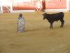 Filename=popeyetorero_(17).JPG
Filesize=89KB
Dimensions=800x600
Date added=Aug 29, 2011 popeyetorero_(17).JPG