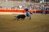 Filename=fermin_bohorquez_1.jpg
Filesize=508KB
Dimensions=800x536
Date added=Aug 29, 2011 fermin_bohorquez_1.jpg