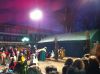 Filename=IMG_0548.JPG
Filesize=383KB
Dimensions=800x598
Date added=Jan 06, 2012 IMG_0548.JPG