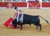 Filename=daniel_luque_2.jpg
Filesize=202KB
Dimensions=800x591
Date added=Aug 26, 2011 daniel_luque_2.jpg