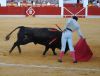 Filename=matias_tejela_2.jpg
Filesize=221KB
Dimensions=800x615
Date added=Aug 26, 2011 matias_tejela_2.jpg