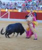 Filename=david_mora_1.jpg
Filesize=300KB
Dimensions=800x950
Date added=Aug 27, 2012 david_mora_1.jpg