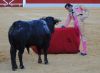 Filename=david_mora_2.jpg
Filesize=208KB
Dimensions=800x591
Date added=Aug 27, 2012 david_mora_2.jpg