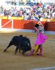 Filename=juan_bautista1.jpg
Filesize=330KB
Dimensions=800x1007
Date added=Aug 27, 2012 juan_bautista1.jpg