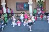 Filename=UP-findecursoGRUPODANZA_(16).jpg
Filesize=212KB
Dimensions=800x533
Date added=May 29, 2013 UP-findecursoGRUPODANZA_(16).jpg