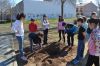 Filename=plantacionarboles-colegios_(7).jpg
Filesize=269KB
Dimensions=800x533
Date added=Mar 17, 2014 plantacionarboles-colegios_(7).jpg