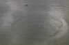 Filename=visitabanosydependencias-Patrona_015-web.jpg
Filesize=148KB
Dimensions=600x400
Date added=Nov 25, 2014 visitabanosydependencias-Patrona_015-web.jpg