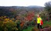 Filename=PB230100.JPG
Filesize=146KB
Dimensions=702x436
Date added=Nov 26, 2014 PB230100.JPG