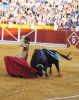 Filename=toros6.jpg
Filesize=792KB
Dimensions=800x1002
Date added=Aug 26, 2014 toros6.jpg