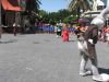 Filename=IMG_3187.JPG
Filesize=124KB
Dimensions=800x600
Date added=Jul 06, 2015 IMG_3187.JPG