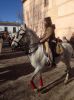 Filename=BENDICION-SANANTON2015_JPG.jpg
Filesize=166KB
Dimensions=800x1067
Date added=Jan 18, 2015 BENDICION-SANANTON2015_JPG.jpg