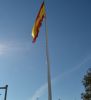 Filename=dia_constitucion_2015_(31).jpg
Filesize=63KB
Dimensions=650x710
Date added=Dec 06, 2015 dia_constitucion_2015_(31).jpg