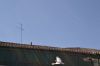 Filename=39_domingoderesurrecion-2015_179.jpg
Filesize=56KB
Dimensions=800x533
Date added=Apr 05, 2015 39_domingoderesurrecion-2015_179.jpg