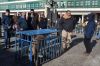Filename=guarrillo-presentacion-_6-12-2015_(15).jpg
Filesize=346KB
Dimensions=1500x1000
Date added=Dec 06, 2015 guarrillo-presentacion-_6-12-2015_(15).jpg