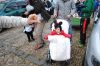 Filename=guarderia-lacomedia-carnaval_(19).jpg
Filesize=467KB
Dimensions=800x535
Date added=Feb 17, 2015 guarderia-lacomedia-carnaval_(19).jpg