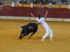 Filename=recortes23.jpg
Filesize=304KB
Dimensions=800x600
Date added=Aug 27, 2015 recortes23.jpg