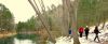 Filename=ruta-alcaraz5.jpg
Filesize=281KB
Dimensions=800x335
Date added=Feb 11, 2015 ruta-alcaraz5.jpg