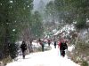 Filename=ruta_de_cotillas__(88)a.jpg
Filesize=495KB
Dimensions=800x600
Date added=Feb 11, 2015 ruta_de_cotillas__(88)a.jpg