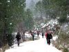 Filename=ruta_de_cotillas__(88).JPG
Filesize=179KB
Dimensions=800x600
Date added=May 20, 2015 ruta_de_cotillas__(88).JPG