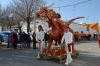 desfile_carnaval-Almagro-210-02-2016_084.jpg