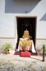 Filename=DSC_7494.JPG
Filesize=246KB
Dimensions=800x1195
Date added=Jun 18, 2017 DSC_7494.JPG