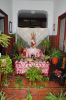 Filename=DSC_7506.JPG
Filesize=331KB
Dimensions=800x1195
Date added=Jun 18, 2017 DSC_7506.JPG