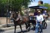 Filename=pasacalles-feria_ecuestre_de_la_primavera2017_(18).jpg
Filesize=340KB
Dimensions=1500x1000
Date added=Jun 11, 2017 pasacalles-feria_ecuestre_de_la_primavera2017_(18).jpg