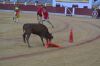 Filename=gran_prix_2017_(74).JPG
Filesize=497KB
Dimensions=1000x667
Date added=Aug 27, 2017 gran_prix_2017_(74).JPG