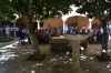 Filename=ruta_guiada_de_patios-domingo_(4).jpg
Filesize=314KB
Dimensions=1500x1000
Date added=Sep 19, 2017 ruta_guiada_de_patios-domingo_(4).jpg