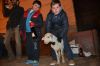 Filename=Asorteo_guarrillo_2017_(46).jpg
Filesize=158KB
Dimensions=1500x1000
Date added=Jan 18, 2017 Asorteo_guarrillo_2017_(46).jpg