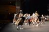 Filename=tierra_roja_navidad_2017_(173).jpg
Filesize=219KB
Dimensions=1500x1000
Date added=Dec 17, 2017 tierra_roja_navidad_2017_(173).jpg
