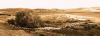 Filename=trashumancia_Almagro_(14).JPG
Filesize=195KB
Dimensions=1280x471
Date added=Nov 22, 2017 trashumancia_Almagro_(14).JPG