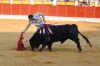 Filename=toros11.jpg
Filesize=429KB
Dimensions=800x533
Date added=Aug 26, 2018 toros11.jpg