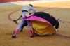 Filename=toros13.jpg
Filesize=423KB
Dimensions=800x533
Date added=Aug 26, 2018 toros13.jpg