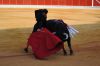 Filename=toros16.jpg
Filesize=398KB
Dimensions=800x533
Date added=Aug 26, 2018 toros16.jpg