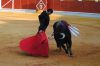 Filename=toros17.jpg
Filesize=434KB
Dimensions=800x533
Date added=Aug 26, 2018 toros17.jpg