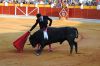 Filename=toros18.jpg
Filesize=475KB
Dimensions=800x533
Date added=Aug 26, 2018 toros18.jpg