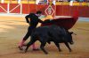 Filename=toros19.jpg
Filesize=430KB
Dimensions=800x533
Date added=Aug 26, 2018 toros19.jpg