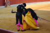 Filename=toros20.jpg
Filesize=429KB
Dimensions=800x533
Date added=Aug 26, 2018 toros20.jpg