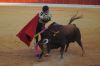 Filename=toros3.jpg
Filesize=394KB
Dimensions=800x533
Date added=Aug 26, 2018 toros3.jpg
