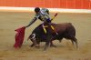 Filename=toros5.jpg
Filesize=393KB
Dimensions=800x533
Date added=Aug 26, 2018 toros5.jpg