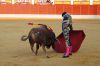 Filename=toros6.jpg
Filesize=407KB
Dimensions=800x533
Date added=Aug 26, 2018 toros6.jpg