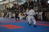 regionalkarate_(16).JPG