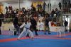 regionalkarate_(4).JPG