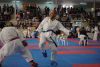 regionalkarate_(60).JPG