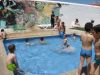 Filename=IMG_1649.jpg
Filesize=73KB
Dimensions=640x480
Date added=Jun 24, 2010 IMG_1649.jpg